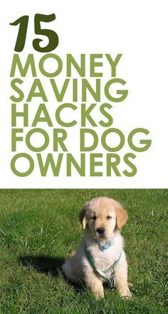 a puppy sitting in the grass with text overlay that reads 15 money saving hacks for dog owners