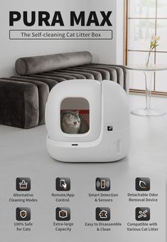 Cat litter box Cat Litter Box Diy, Hiding Cat Litter Box, Diy Litter Box, Cat Litter Box Enclosure, Litter Box Enclosure, Cat Cleaning, Cat Litter Box Furniture