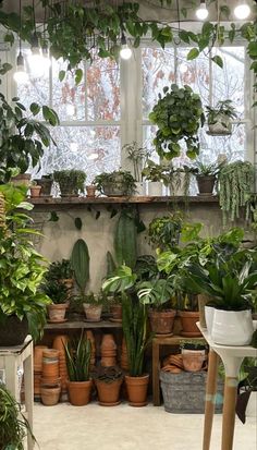 a room filled with lots of potted plants