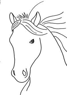 a horse's head is shown in black and white, with long manes