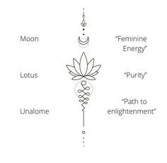 the four main elements in an enlightening energy flow, including lotuses and chakras