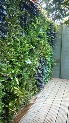 an outdoor living wall with lots of green plants on the sides and wooden flooring