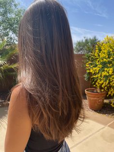 Layered Hair On Straight Hair, Layers In Brown Hair, Layer Haircut Straight Hair, Haircut Inspo Long Straight, Long Brown Hair With Long Layers, Long Hair Haircut Ideas Straight, Long Layers On Brown Hair, Layers On Straight Hair Long