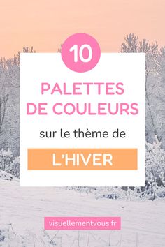 10 palettes de couleurs sur le thème de l'hiver