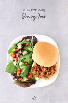 a sandwich and salad on a plate with the words low fodmap sloppy joe