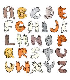 the letters and numbers are made up of different types of cats, including one cat