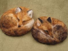 two brown and white foxes sleeping on top of each other