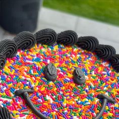 a decorated cake with sprinkles and black icing