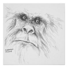 a drawing of a monkey with big eyes