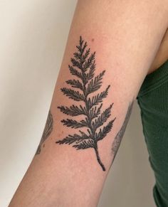 a woman's arm with a small tattoo of a pine tree branch on it