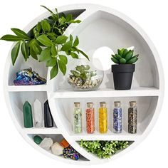 a white circular shelf filled with lots of different types of plants and rocks next to each other