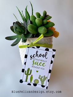 there is a small card with succulents in it