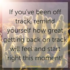 a cactus with the quote if you've been off track, remind yourself how great getting back on track will feel and start right this moment