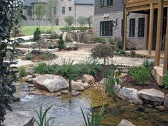 an outdoor pond with rocks and plants in the foreground, next to a house