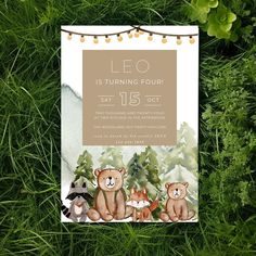 an image of a birthday party with bears and raccoons in the grass on it