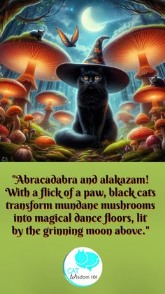 a black cat wearing a witches hat and sitting in the middle of mushrooms with a green background