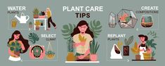 an illustrated guide to plant care tips