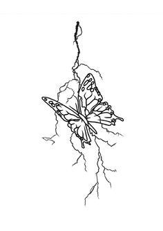 a black and white drawing of a butterfly sitting on a branch with lightning coming from behind it