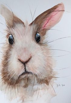 a watercolor painting of a rabbit's face with blue eyes and long ears