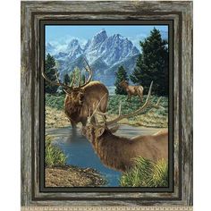 two elk drinking water from a stream in front of mountains