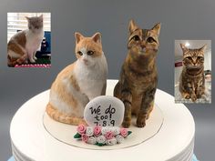 two cats sitting on top of a white cake with pictures of the same cat and dog