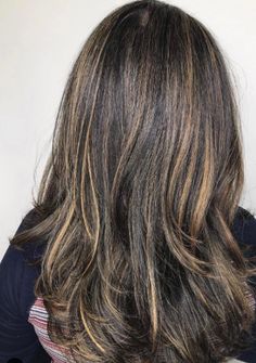 Highlights For Black Hair To Elevate Your Look Highlights Dark Brown Hair, Sun In Hair Lightener, Sun In Hair, Sun Highlights, Hair Lightener, Sun Kissed Highlights, Highlights For Dark Brown Hair