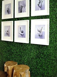 four framed photographs hang on the wall above two stools in front of green grass