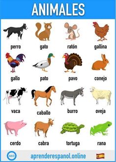 an animal poster with different animals and their names in spanish, english or french language