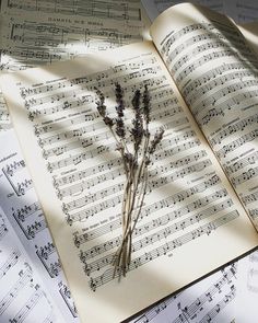 an open book with sheet music and dried lavenders on it, surrounded by sheet music