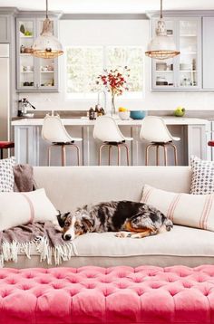 a dog laying on top of a couch in a living room