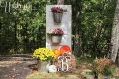 Create amazing old door decor ideas for your home and garden using these examples that showcase you both style and function Old Door Garden Ideas, Door Garden Ideas, Old Screen Doors, Door Garden, Weathered Paint, Window Projects, Fall Door Decorations, Outdoor Display