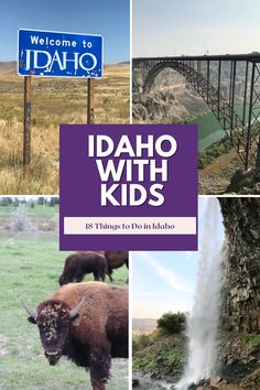 idaho with kids is featured in this postcard for the upcoming trip to idaho, including bison and waterfall