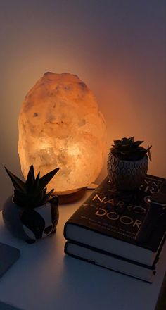 a lamp that is on top of a table next to some books and a potted plant