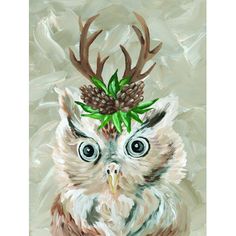 an owl with antlers on it's head is shown in a white frame