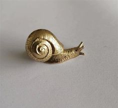 a close up of a gold snail on a white surface with the shell curled back