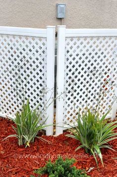 some plants are growing out of the red mulch in front of a white fence