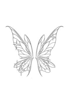 the outline of a butterfly's wings