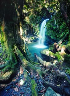 a small waterfall in the middle of a forest with moss growing on it's sides