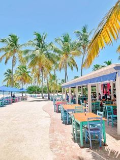 tables and chairs are lined up on the beach with palm trees in the foreground