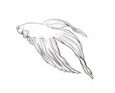 an ink drawing of a fish with long, thin tail and large fins on it's head