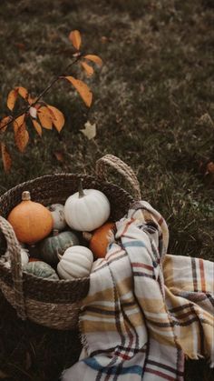 a basket filled with pumpkins sitting on top of a grass covered field