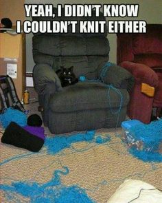 a cat is sitting in a recliner with yarn on the floor next to it