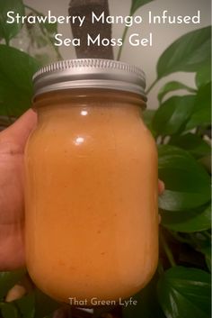 Fruit Infused Seamoss Gel Recipe, How To Make Flavored Sea Moss Gel, How To Make Sea Moss Gel With Fruit, How To Make Sea Moss Gel To Eat, Sea Moss Powder Recipes, Flavored Sea Moss Gel Recipe