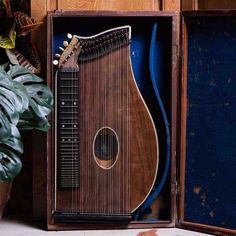 a wooden instrument sitting inside of a box next to a potted plant on the floor