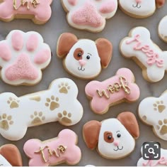 decorated cookies with dog's and cat's names are displayed on a table