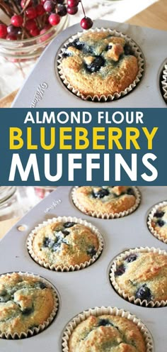 blueberry muffins in a muffin tin with text overlay reading almond flour blueberry muffins