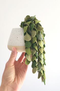 a hand holding a soap bar with green leaves on it and a sponge in the middle