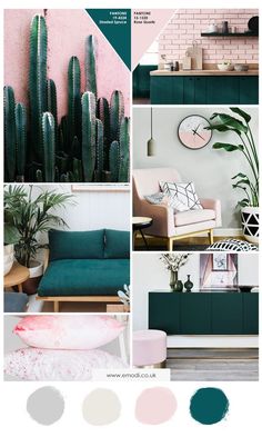 a collage of green and pink living room decor with cactus in the corner, couches on either side