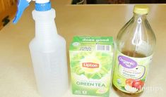 a bottle of lipton tea next to a carton of green tea on a counter