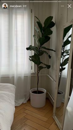 a bedroom with a plant in the corner and a mirror on the wall next to it